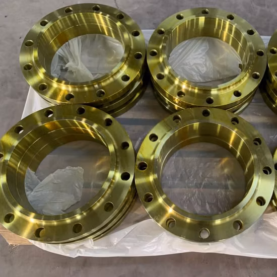 ANSI B16.5 Pn10 RF A105 Th 炭素鋼フランジ、プラントプロジェクト用。ステンレス鋼ねじ付きフランジを使用